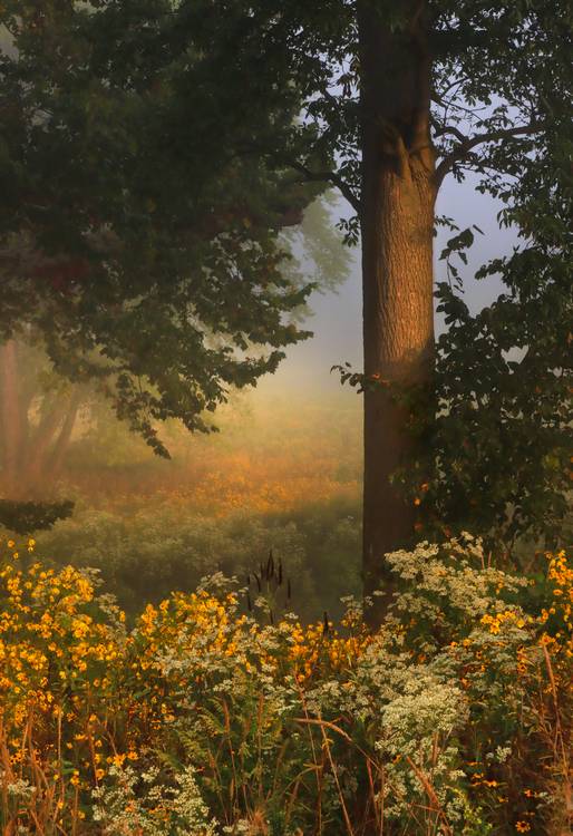 Sustainable Economies empowers organizations like Summit Metro Parks to create positive  change..